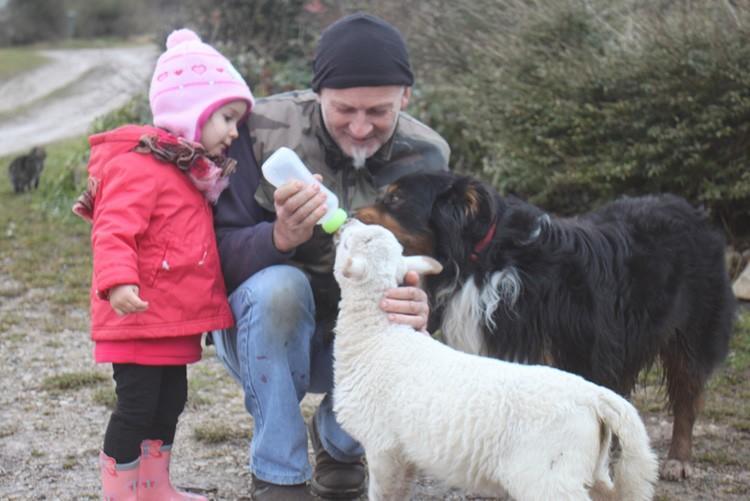 Ferme Pédagogique  L'bout D'chemin *