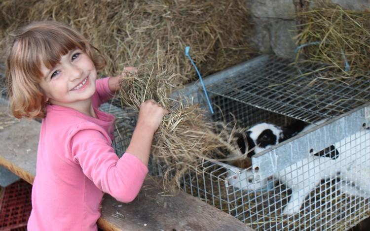 Ferme Pédagogique  L'bout D'chemin Séjour à la ferme