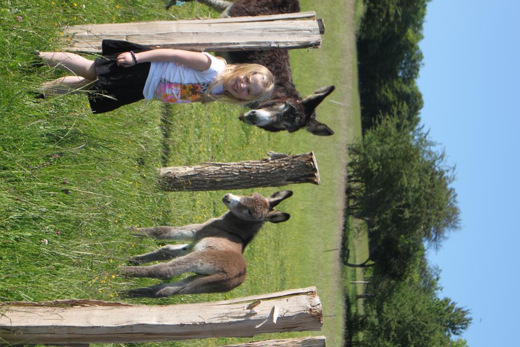 Farm stay Ferme Pedagogique 