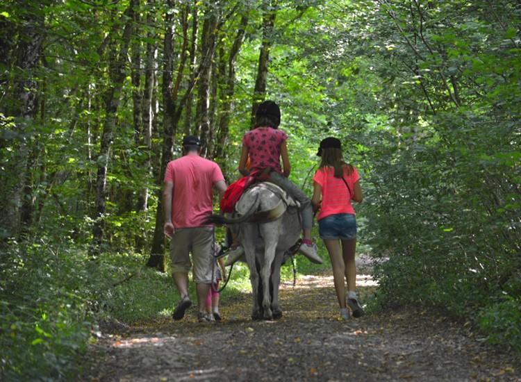 Ferme Pédagogique  L'bout D'chemin Séjour à la ferme *