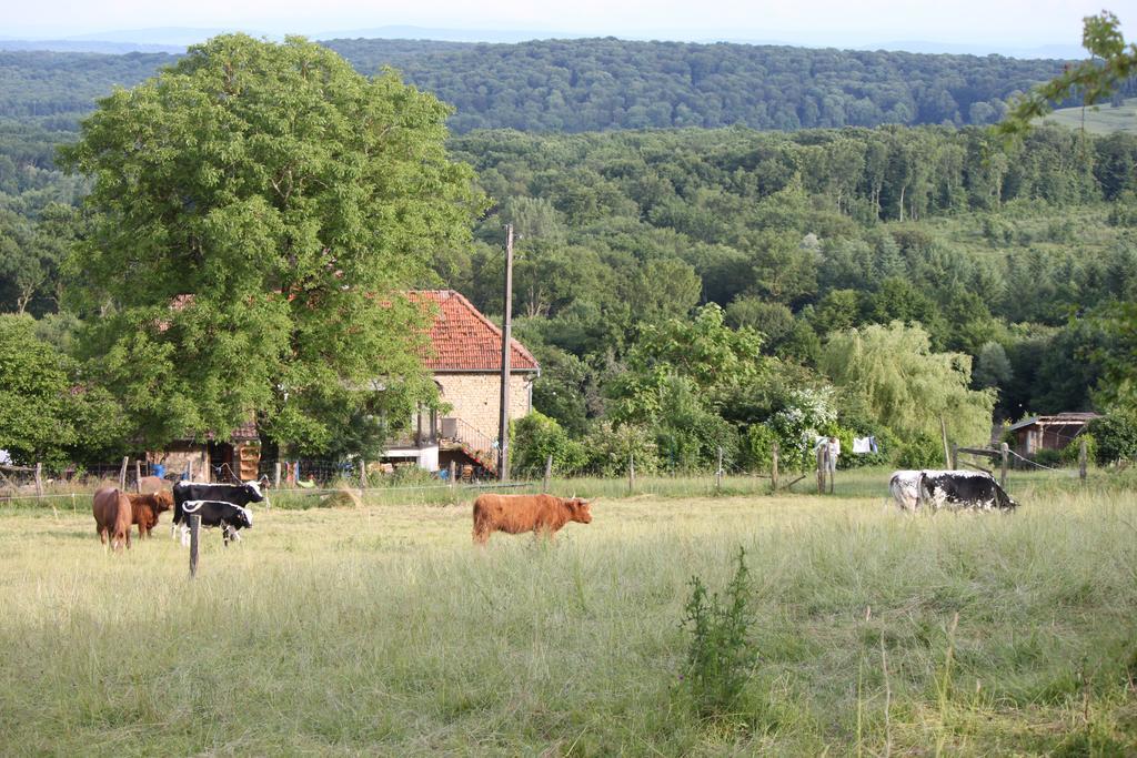 Ferme Pédagogique  L'bout D'chemin * Genevreuille